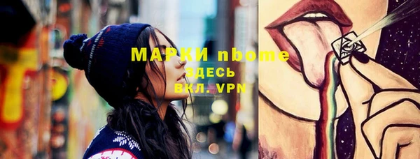 прущие грибы Мегион