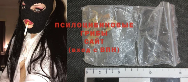 прущие грибы Мегион