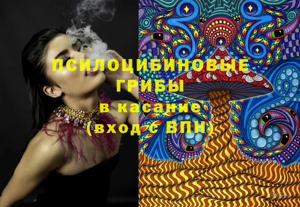 бошки Медвежьегорск