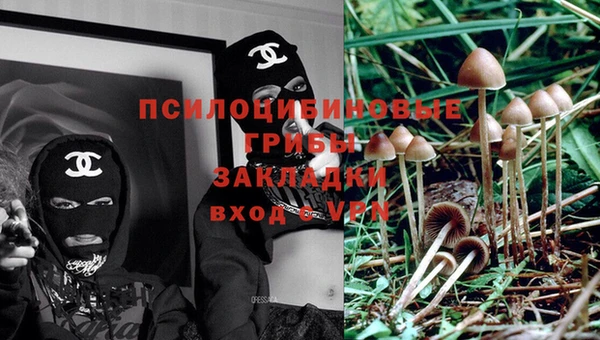 бошки Медвежьегорск