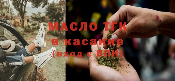 гидра Михайловка