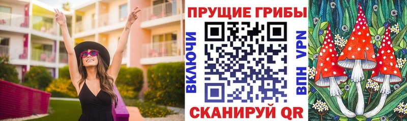 кракен как зайти  Нефтегорск  Псилоцибиновые грибы Psilocybe 